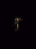 anim240x320_0020.gif